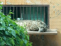 -青藏高原野生动物园