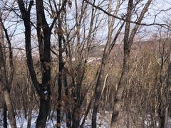 -帽儿山国家森林公园