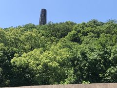 -上海佘山国家森林公园天马山园