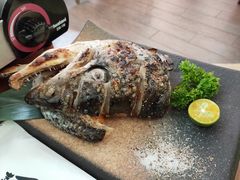 盐烤三文鱼头-熹炭精致日料(金融街购物中心店)