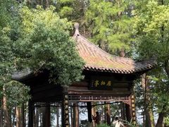 -东湖落雁景区
