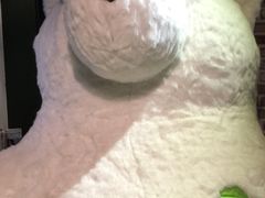 泰迪熊博物馆-济州岛泰迪熊博物馆