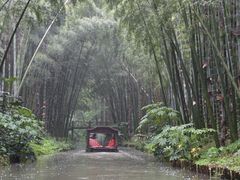 -同里国家湿地公园
