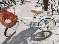 -道路口单车爱瓦士dahon大行