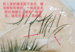 -ViVi薇薇日式＆新中式美睫半永久