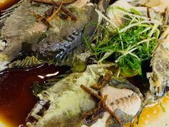 -老字号蛇口德记烧腊饭店·海鲜加工