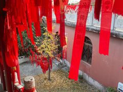 -开福禅寺