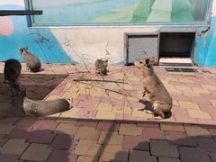 -大连森林动物园