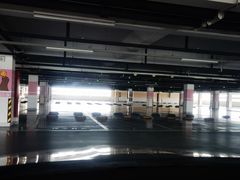 -上海海昌海洋公园-停车场