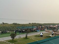 -七的湖·晚芳亭·阳澄湖农家菜·大闸蟹(莲花岛店)