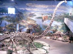 -自贡恐龙博物馆