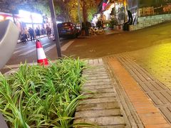-奎星楼街