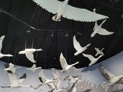 -中国湿地博物馆