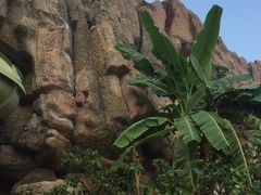 -亚马逊丛林水乐园