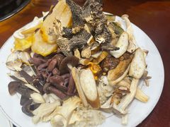 -菌之家·专业纯野生菌火锅·特色炒菌