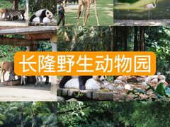 -广州长隆野生动物世界