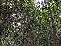 -勇士之星真人CS·团建·拓展(清水河公园店)