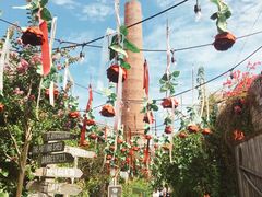 -The Grounds of Alexandria