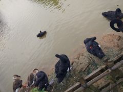 -艾溪湖湿地公园