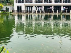 -谷丰健康凤贤居酒家