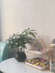 -禾壹净·素颜美问题肌肤修护中心