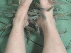 -碧水湾温泉