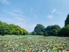 -星湖旅游景区七星岩