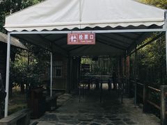 -龙水峡地缝景区