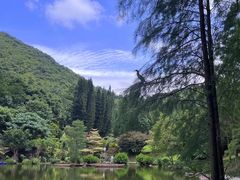 -深圳仙湖植物园