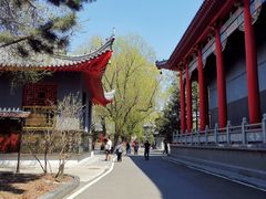 -哈尔滨极乐寺
