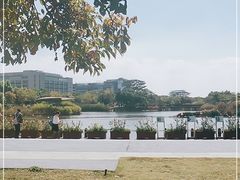 -福田红树林生态公园