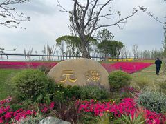 -中加枫华国际学校