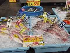 -海鮮寿司とれとれ市場