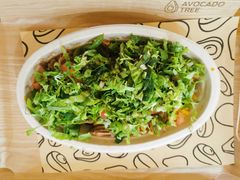 -油梨树 AVOCADO TREE(亮马桥店)