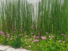 -木守西溪溪隐餐厅