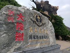 -大槐树寻根祭祖园