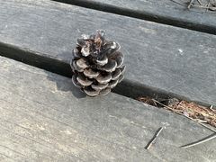 -帽儿山国家森林公园