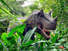 -海南热带野生动植物园