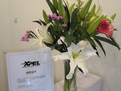 -XPEL旗舰店·汽车贴膜·隐形车衣·改色贴膜