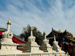 -西安市广仁寺