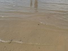 -农垦当壁镇兴凯湖旅游度假区