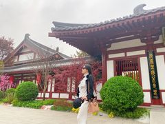 -唐御宴•御宴宫•唐代菜点(芙蓉西路店)