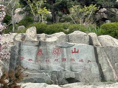 -泰山风景名胜区