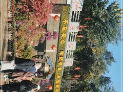 -仙岳公园