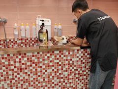 -FAELING PETS美天灵宠物(合生汇店)