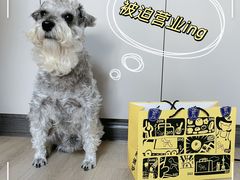 -石头先生的烤炉(济南和谐店)