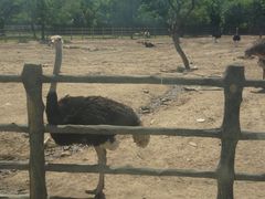 -西安秦岭野生动物园