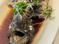 -顺峰(农展馆店)