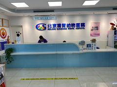 -北京观赏动物医院·24小时大型综合·猫专科·异宠专科
