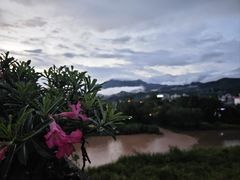 -中国科学院西双版纳热带植物园